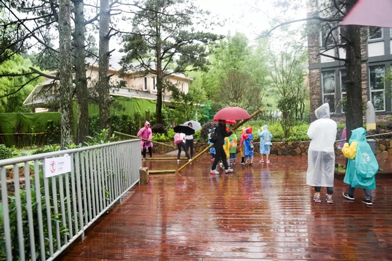 image131.jpg